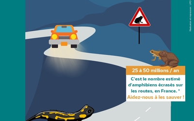 Affiche Verrières du grosbois (1)_page-0001